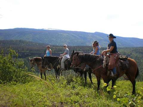 Battle Mountain Equine Enterprises Inc.