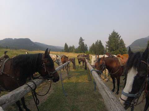 Vavenby Trail Rides